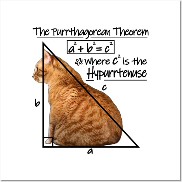 The Purrthagorean Theorem to find the hypurrtenuse Wall Art by RawSunArt